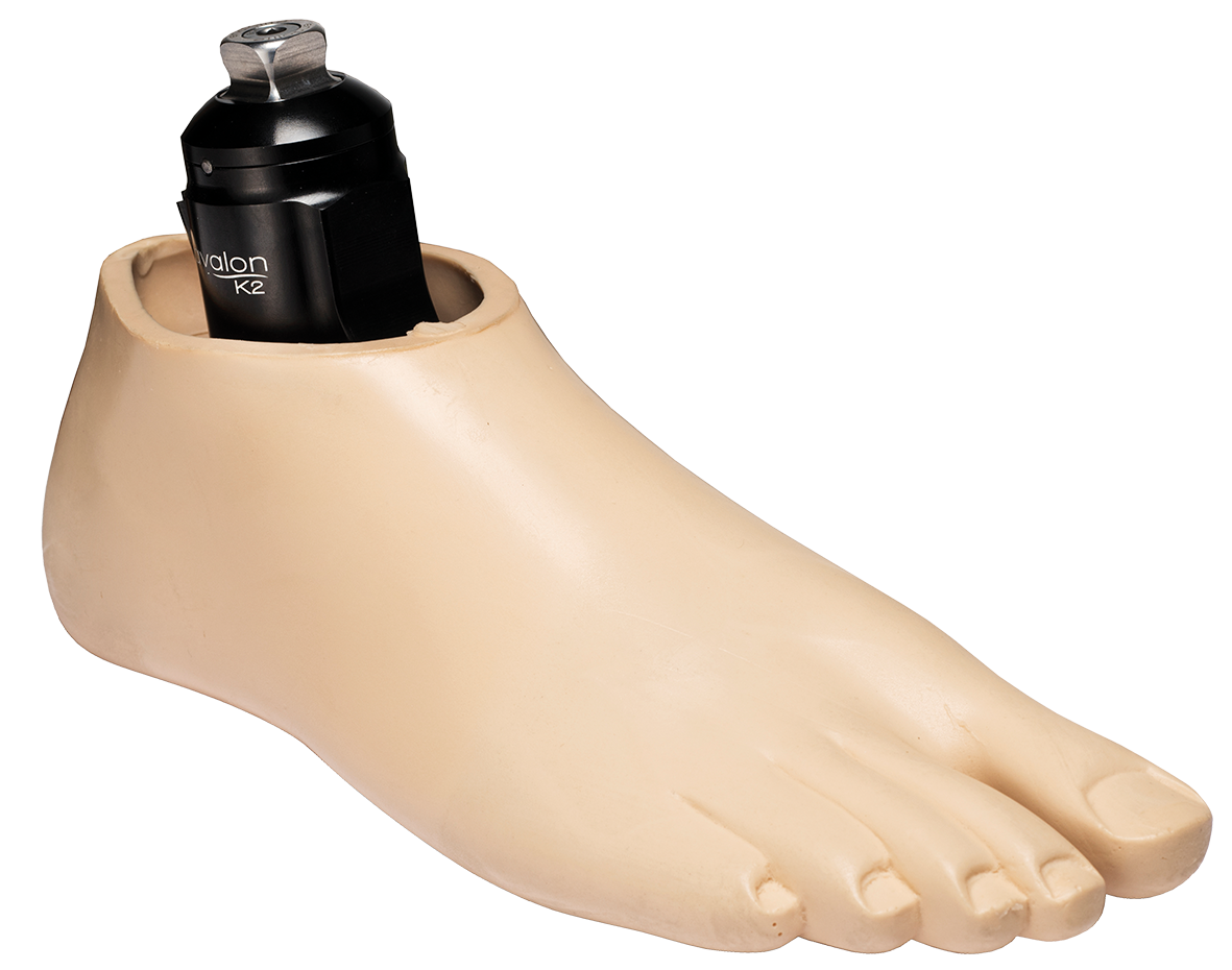 avalonk2